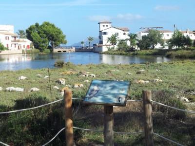 La Gola House Apartment Port de Pollenca Bagian luar foto